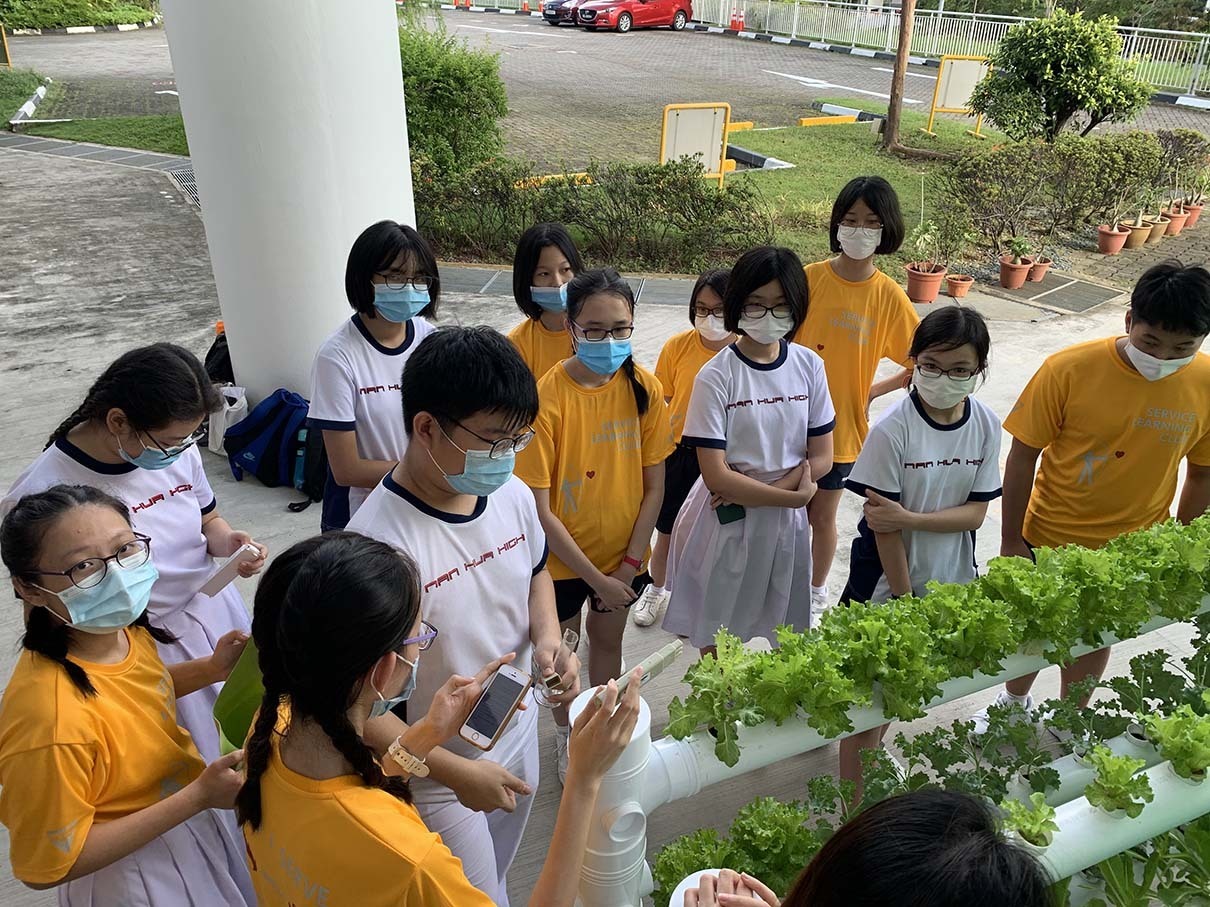 Learning more about Hydroponics.jpg