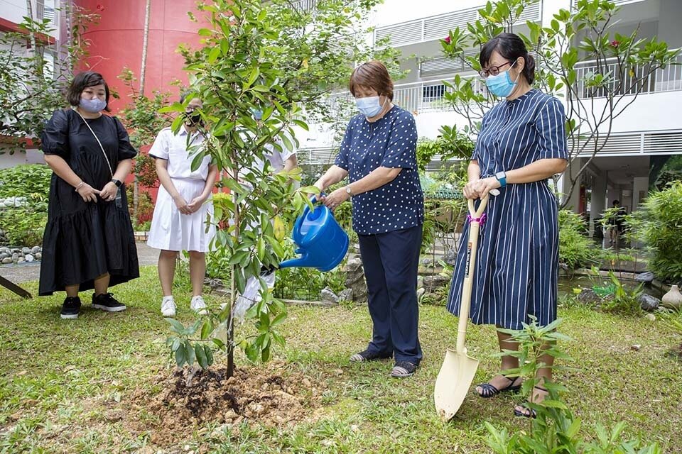 Our School Leaders planting a tree in the school.JPG