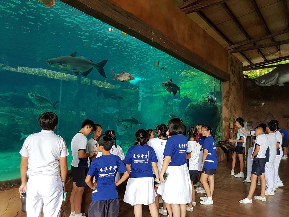 A trip to River Safari.jpg